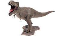 Dinosaurs